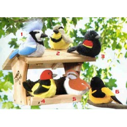 Busy Beak are Happy beaks